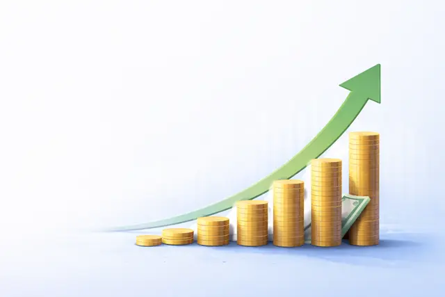 Investment Advisory Services